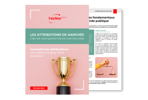 Les attributions de marchés publics : une mine d’or !